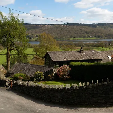 Fieldmouse * 科尼斯顿